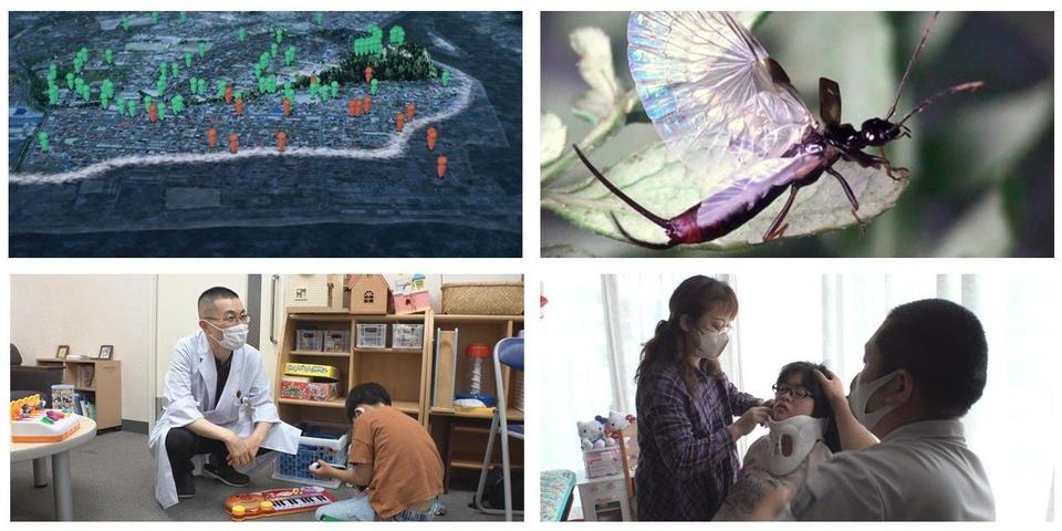 科学技術映像祭.jpg