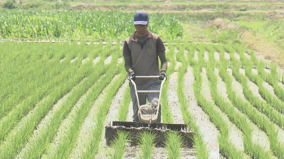 特集【"令和のコメ騒動"を報じる視点②】山形放送 日本人は「農なき国の食なき民」となるのか? 『時給10円という現実~消えゆく農民~』を制作して