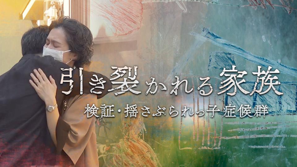 「引き裂かれる家族 検証・揺さぶられっ子症候群」.jpg