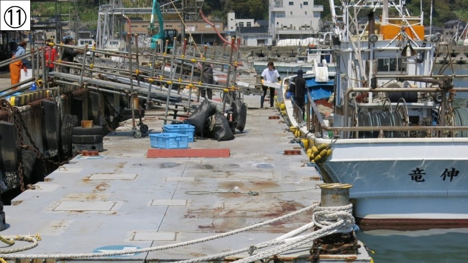 ⑪仮桟橋からの水揚げ.jpg